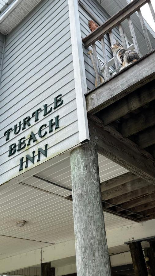 Turtle Beach Inn Indian Pass 외부 사진